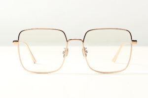 Dior Diorcannaged S1F E0BB